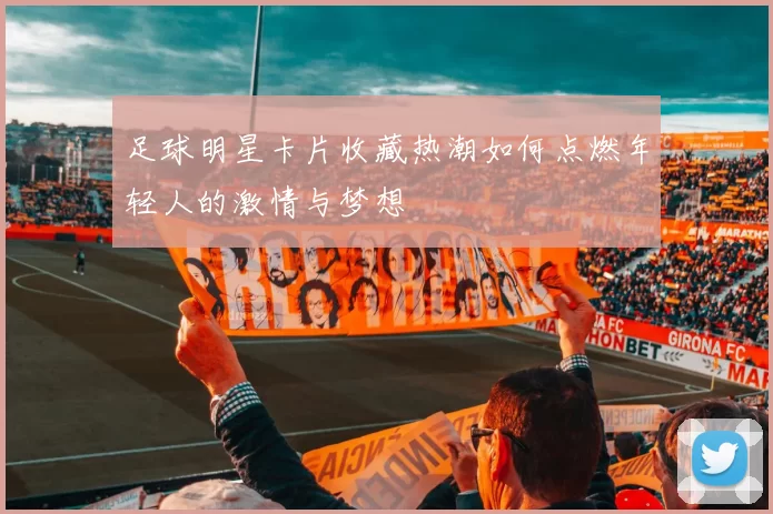足球明星卡片收藏热潮如何点燃年轻人的激情与梦想