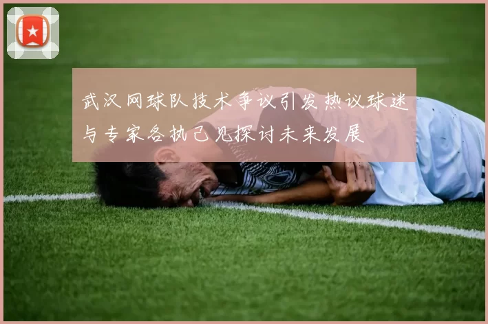 武汉网球队技术争议引发热议球迷与专家各执己见探讨未来发展