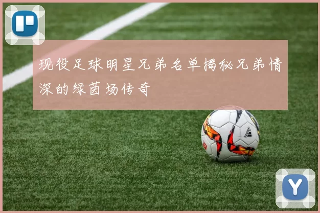 现役足球明星兄弟名单揭秘兄弟情深的绿茵场传奇