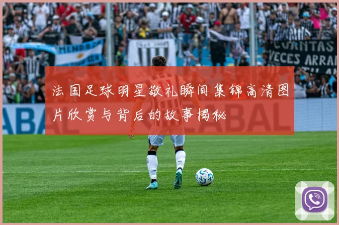 法国足球明星敬礼瞬间集锦高清图片欣赏与背后的故事揭秘