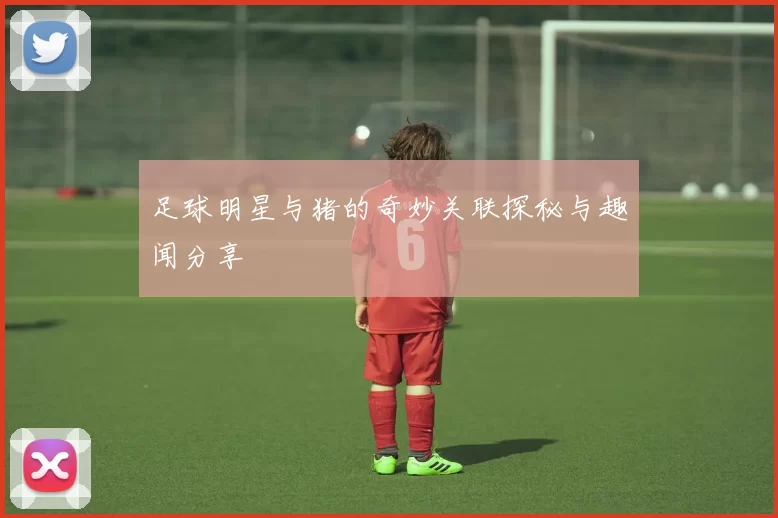 足球明星与猪的奇妙关联探秘与趣闻分享