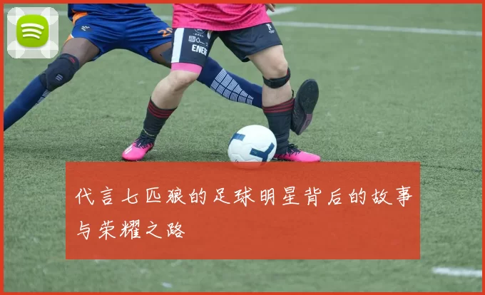 代言七匹狼的足球明星背后的故事与荣耀之路