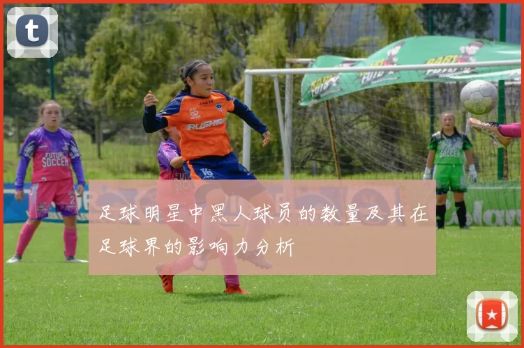 足球明星中黑人球员的数量及其在足球界的影响力分析