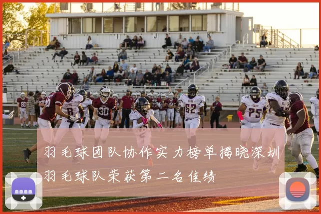 羽毛球团队协作实力榜单揭晓深圳羽毛球队荣获第二名佳绩