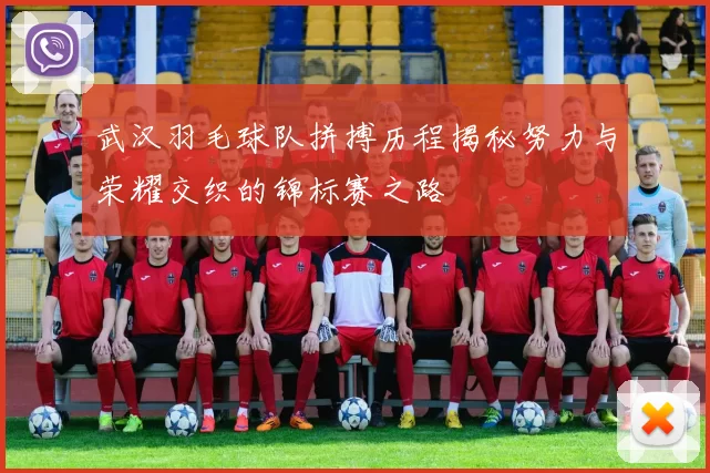 武汉羽毛球队拼搏历程揭秘努力与荣耀交织的锦标赛之路