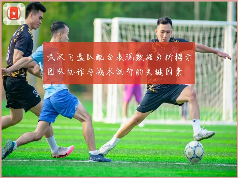武汉飞盘队配合表现数据分析揭示团队协作与战术执行的关键因素