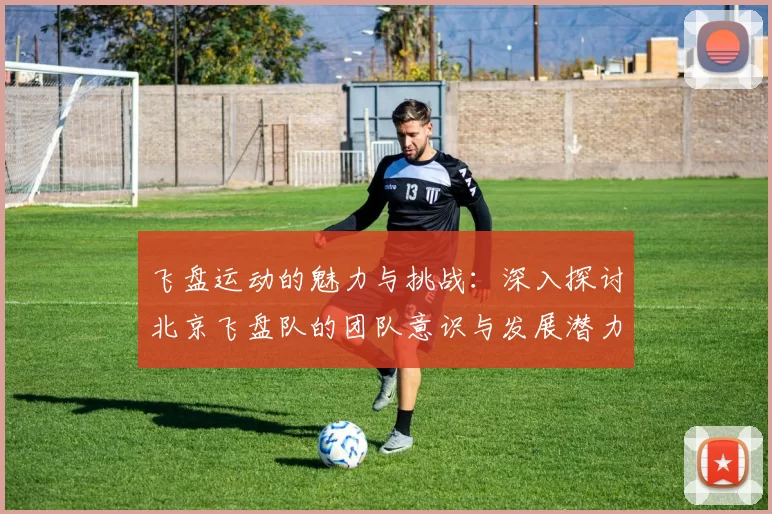 飞盘运动的魅力与挑战：深入探讨北京飞盘队的团队意识与发展潜力
