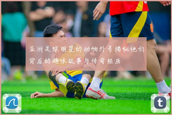 亚洲足球明星的动物外号揭秘他们背后的趣味故事与传奇经历