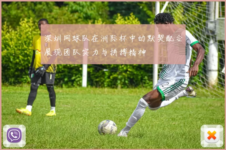 深圳网球队在洲际杯中的默契配合展现团队实力与拼搏精神