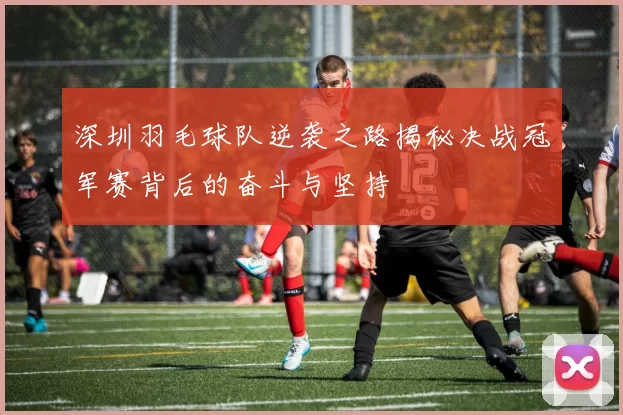 深圳羽毛球队逆袭之路揭秘决战冠军赛背后的奋斗与坚持