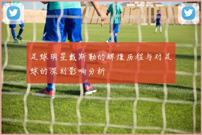 足球明星戴斯勒的辉煌历程与对足球的深刻影响分析