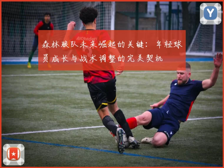 森林狼队未来崛起的关键：年轻球员成长与战术调整的完美契机