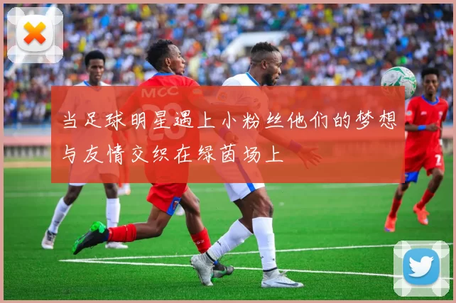 当足球明星遇上小粉丝他们的梦想与友情交织在绿茵场上