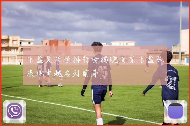 飞盘灵活性排行榜揭晓南京飞盘队表现卓越名列前茅