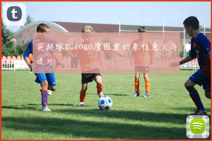 英超球队logo鹰图案的象征意义与设计