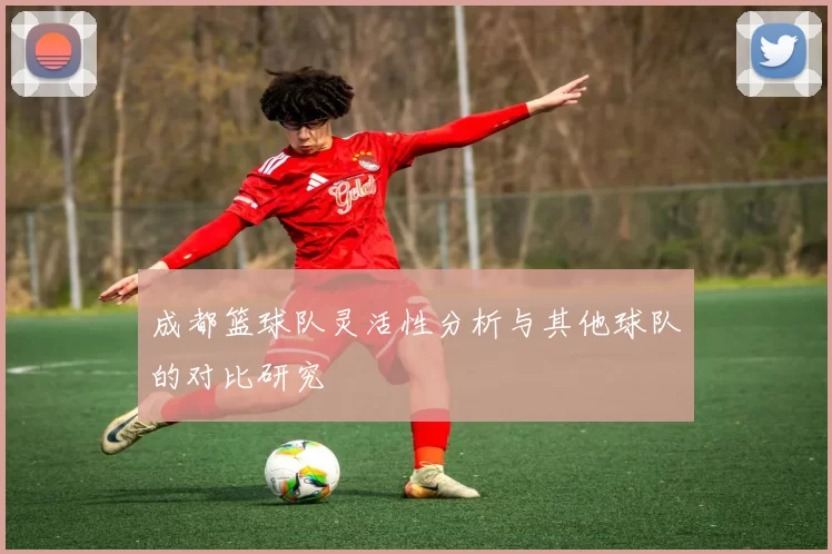成都篮球队灵活性分析与其他球队的对比研究