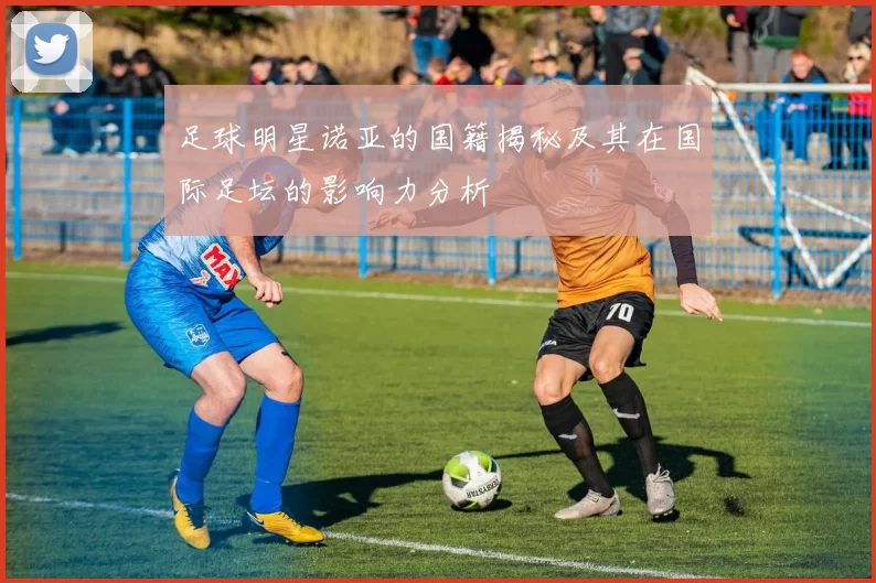 足球明星诺亚的国籍揭秘及其在国际足坛的影响力分析