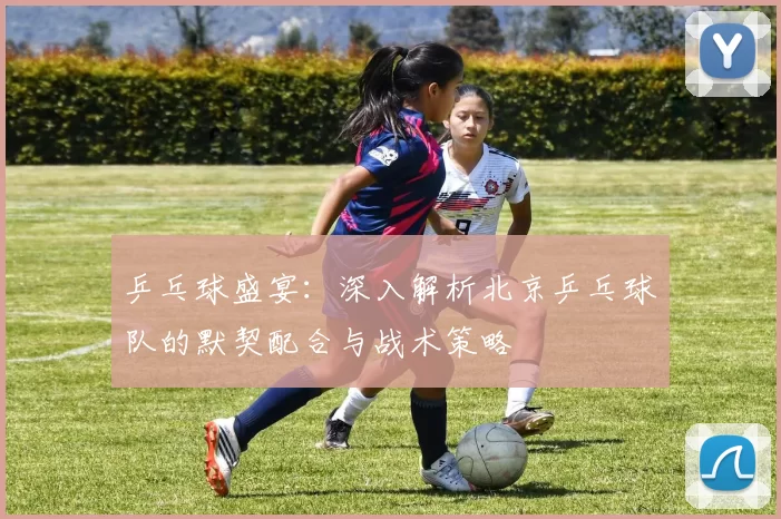 乒乓球盛宴：深入解析北京乒乓球队的默契配合与战术策略