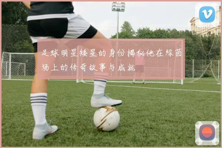足球明星矮星的身份揭秘他在绿茵场上的传奇故事与成就