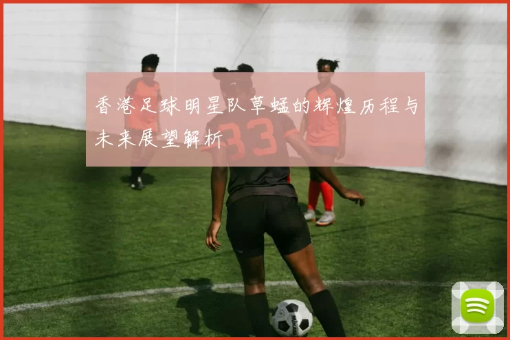 香港足球明星队草蜢的辉煌历程与未来展望解析