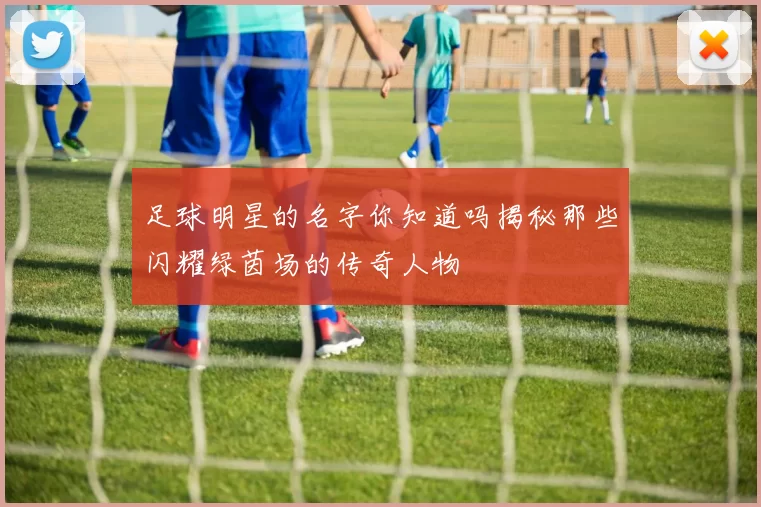 足球明星的名字你知道吗揭秘那些闪耀绿茵场的传奇人物