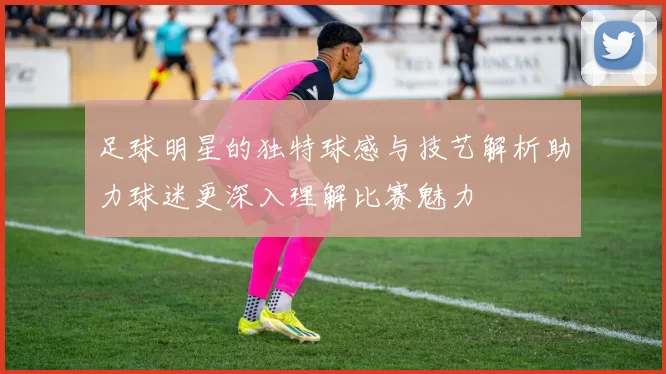 足球明星的独特球感与技艺解析助力球迷更深入理解比赛魅力