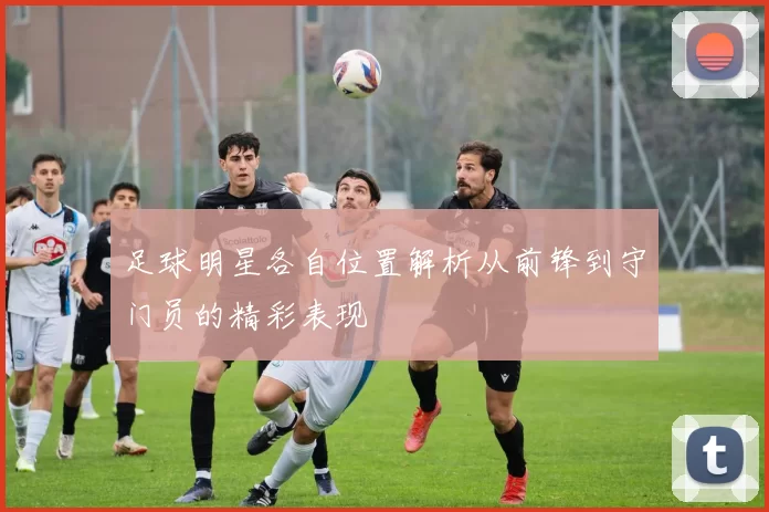足球明星各自位置解析从前锋到守门员的精彩表现