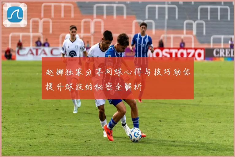 赵娜独家分享网球心得与技巧助你提升球技的秘密全解析