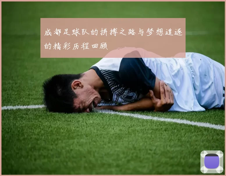 成都足球队的拼搏之路与梦想追逐的精彩历程回顾