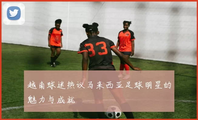 越南球迷热议马来西亚足球明星的魅力与成就