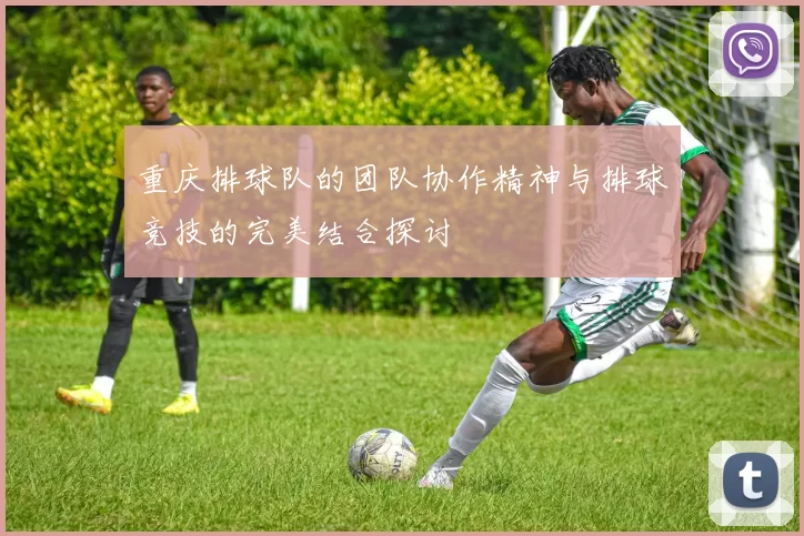 重庆排球队的团队协作精神与排球竞技的完美结合探讨