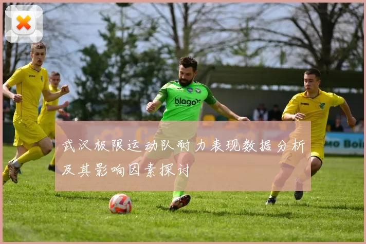 武汉极限运动队耐力表现数据分析及其影响因素探讨